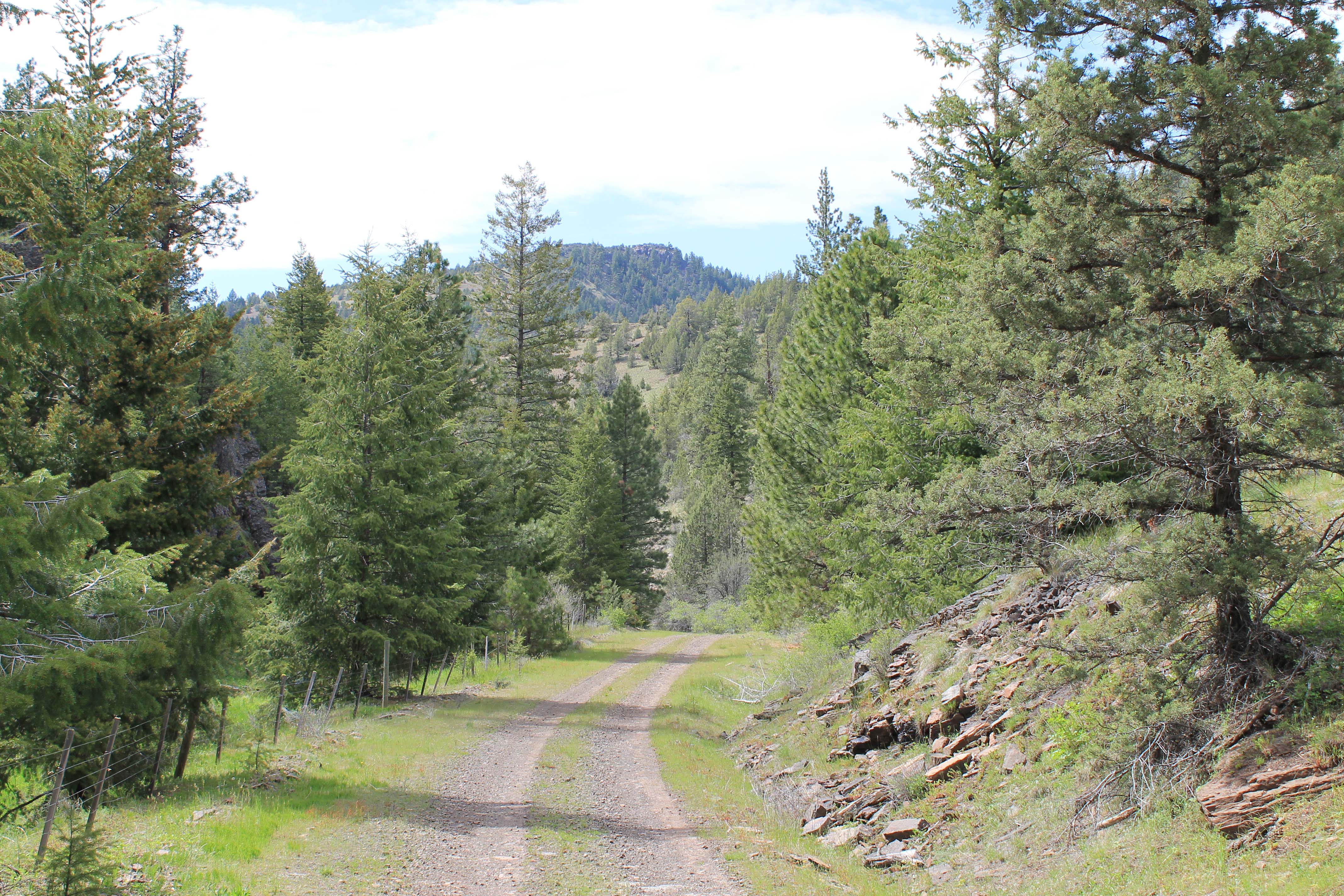 18,000± Acres of Oregon Recreation, Timber Land to Be Offered to the Public